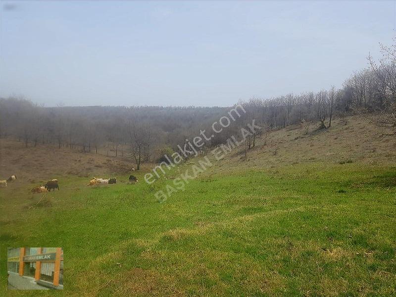 Başkan Emlaktan Satılık Yarımca Köyünde 1.000 M2 Bahçe Yeri — fotoğraf 8