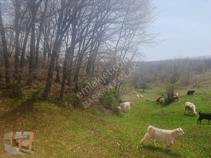 Başkan Emlaktan Satılık Yarımca Köyünde 1.000 M2 Bahçe Yeri — fotoğraf 9