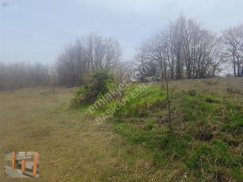 Başkan Emlaktan Satılık Yarımca Köyünde 1.000 M2 Bahçe Yeri — fotoğraf 11