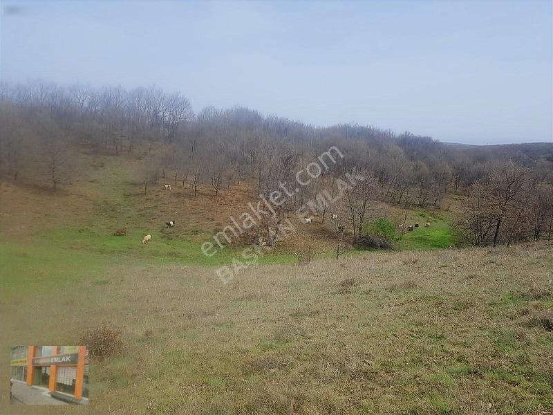 Başkan Emlaktan Satılık Yarımca Köyünde 1.000 M2 Bahçe Yeri — fotoğraf 12