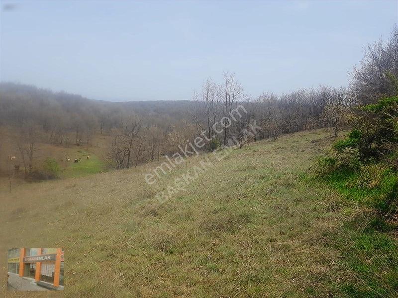 Başkan Emlaktan Satılık Yarımca Köyünde 1.000 M2 Bahçe Yeri — fotoğraf 13