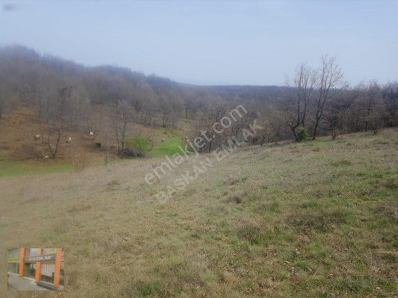 Başkan Emlaktan Satılık Yarımca Köyünde 1.000 M2 Bahçe Yeri — fotoğraf 14