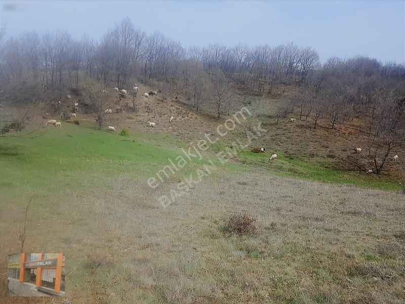 Başkan Emlaktan Satılık Yarımca Köyünde 1.000 M2 Bahçe Yeri — fotoğraf 15