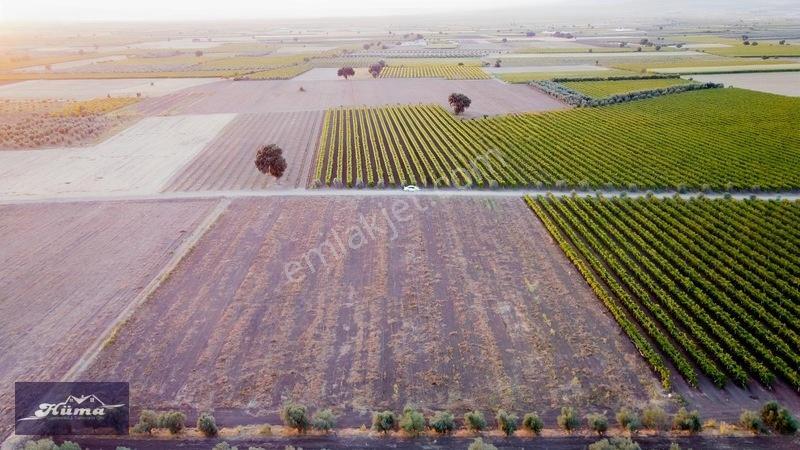 Saruhanlı Alibeyli De 8 Dönüm Tarla — fotoğraf 4