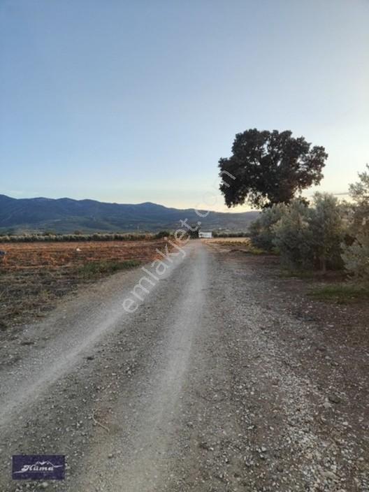 Saruhanlı Alibeyli De 8 Dönüm Tarla — fotoğraf 5