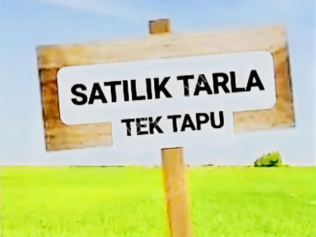 Murat Türkmenden Ayaş_Yağmurdede_Mah. Tek_Tapu 2137M2_Yola_Cephe