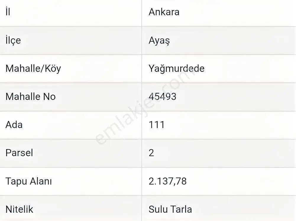 Murat Türkmenden Ayaş_yağmurdede_mah. Tek_tapu 2137m2_yola_cephe — fotoğraf 2