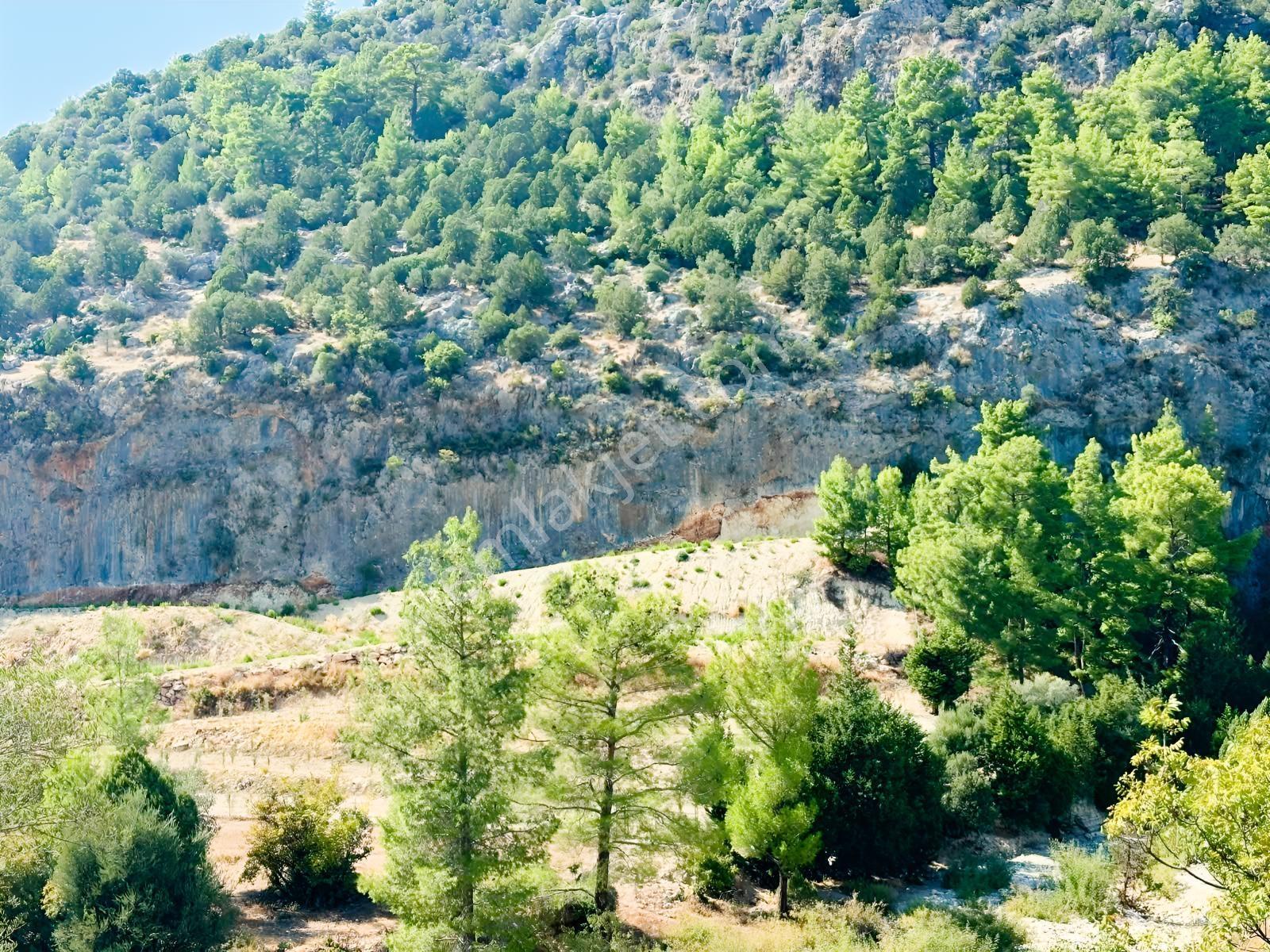 Antalya Manavgat Ahmetler Mahallesi Satılık Tek Tapu Tarla