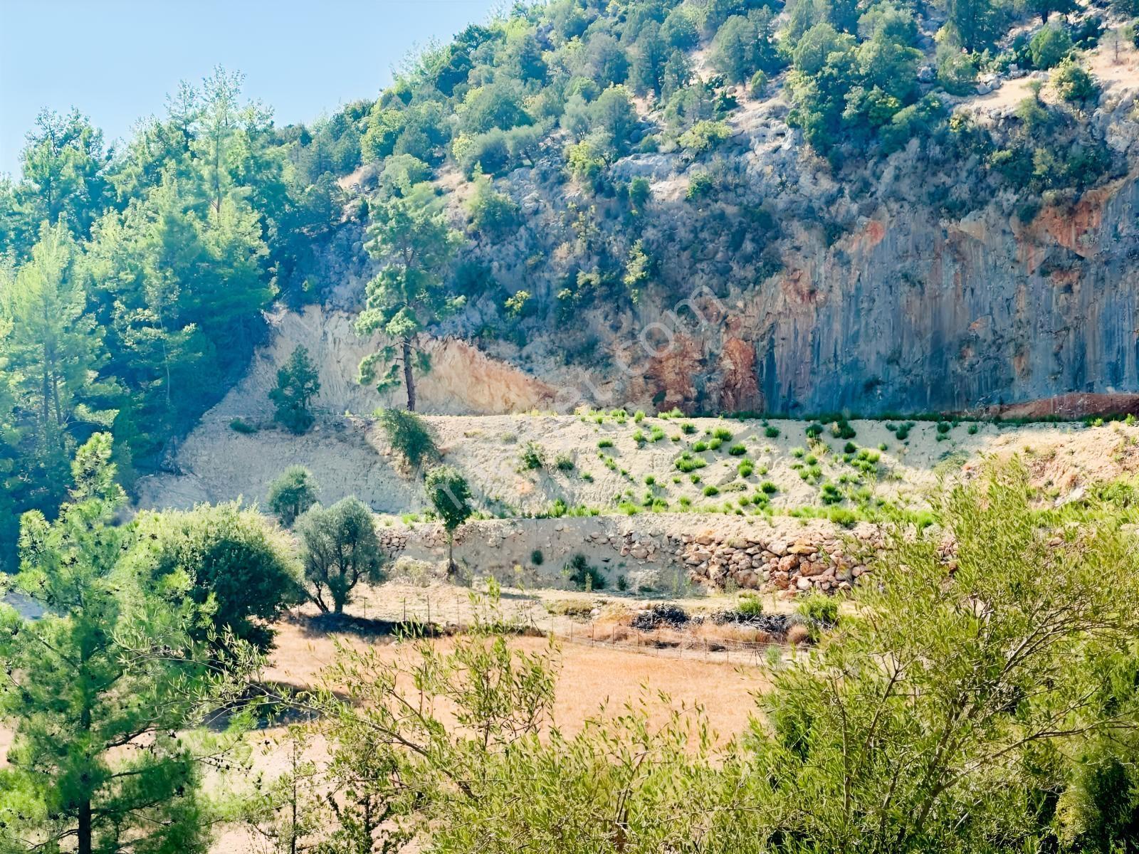 Antalya Manavgat Ahmetler Mahallesi Satılık Tek Tapu Tarla — fotoğraf 3