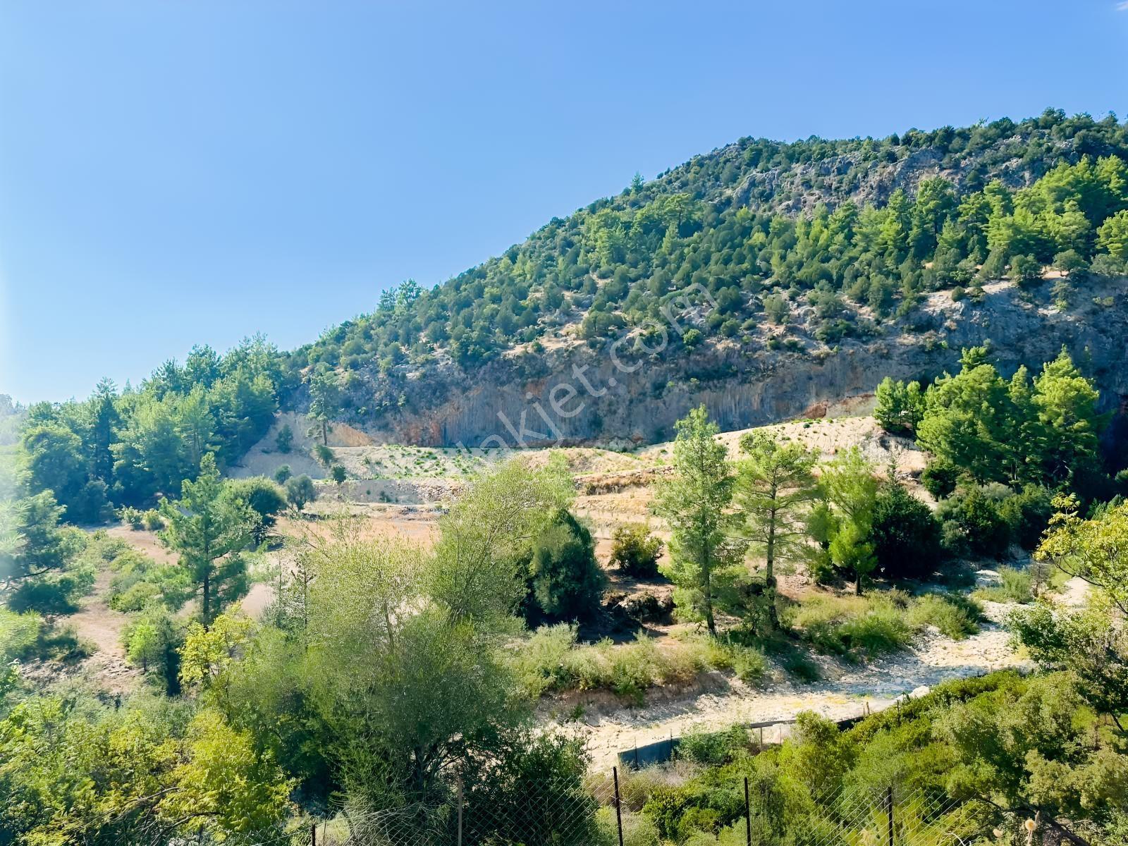 Antalya Manavgat Ahmetler Mahallesi Satılık Tek Tapu Tarla — fotoğraf 5