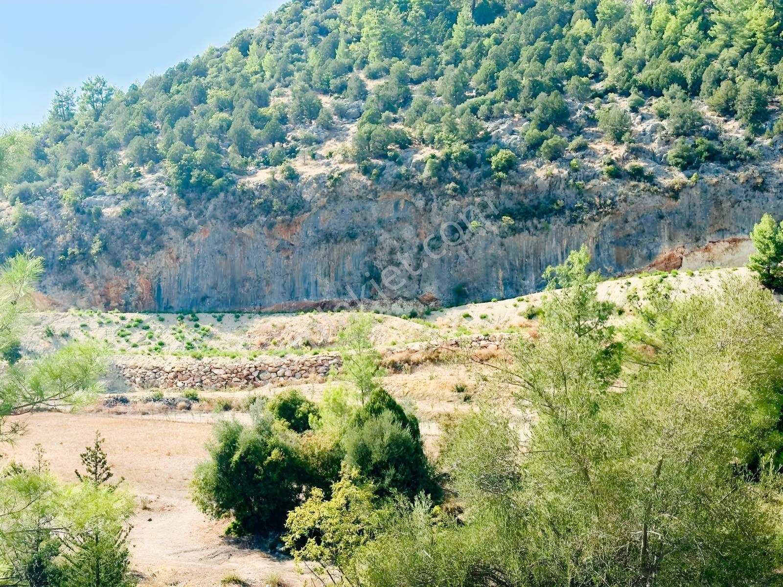 Antalya Manavgat Ahmetler Mahallesi Satılık Tek Tapu Tarla — fotoğraf 7