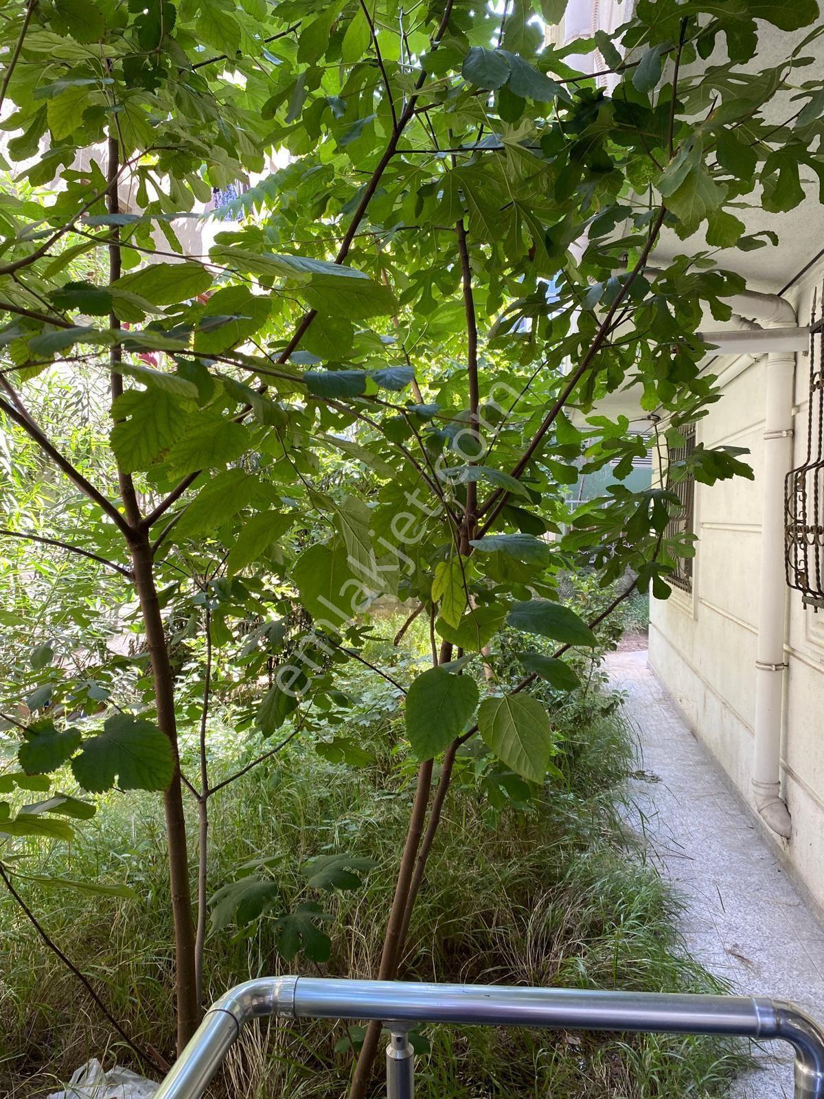 Bahçelievler Kocasinan'da Satılık 2+1 Bahçe Kullanımlı Daire — fotoğraf 18