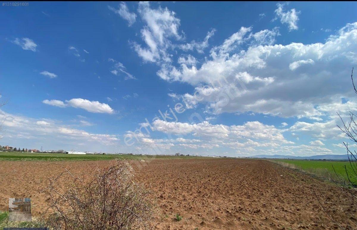 Meram Çolıklı Mahallesin'de 32'150m² Müstakil Yatırıma-alsata Çiflik Yapımına Uygun Elektirik Su Var — fotoğraf 2