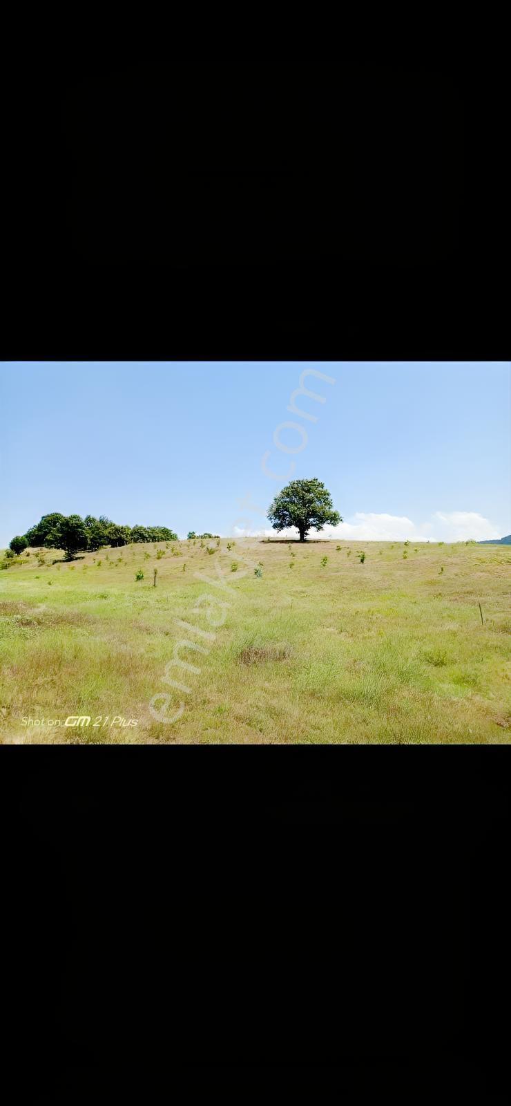 Re/max Advantage 'dan Tarıma Elverişli Arazi — fotoğraf 2