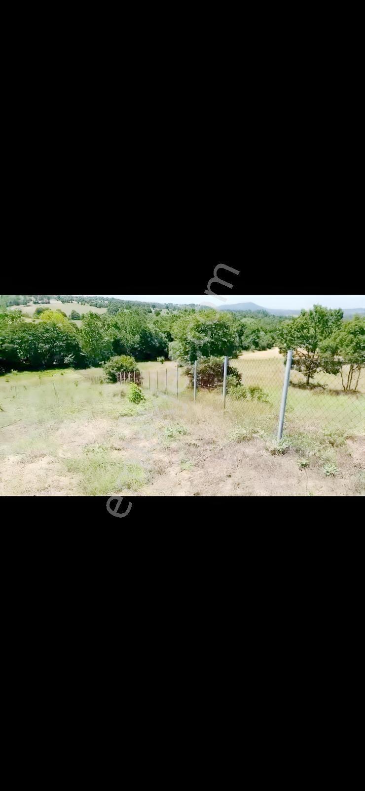 Re/max Advantage 'dan Tarıma Elverişli Arazi — fotoğraf 3