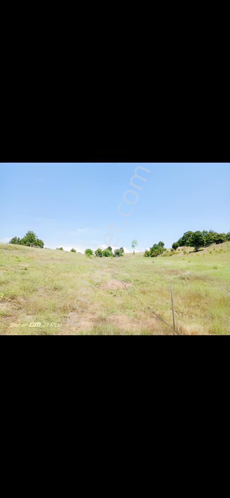 Re/max Advantage 'dan Tarıma Elverişli Arazi — fotoğraf 4