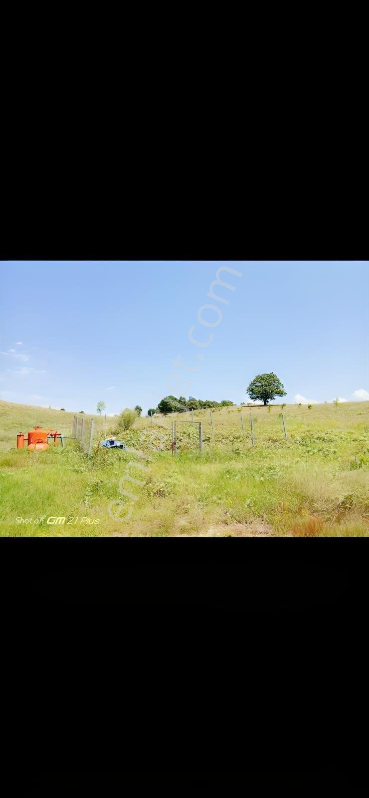 Re/max Advantage 'dan Tarıma Elverişli Arazi — fotoğraf 5