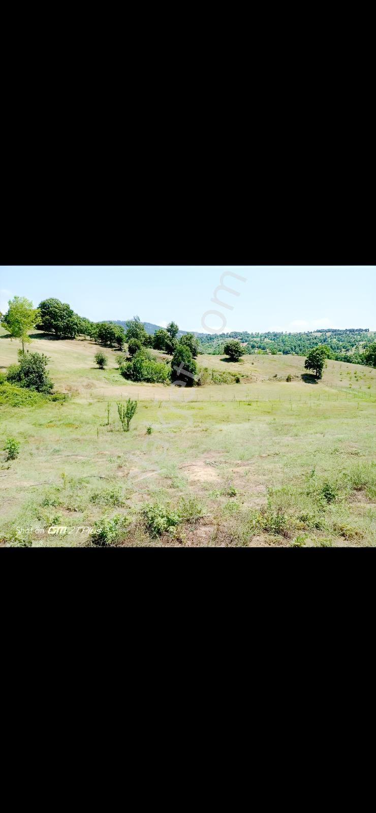 Re/max Advantage 'dan Tarıma Elverişli Arazi — fotoğraf 7