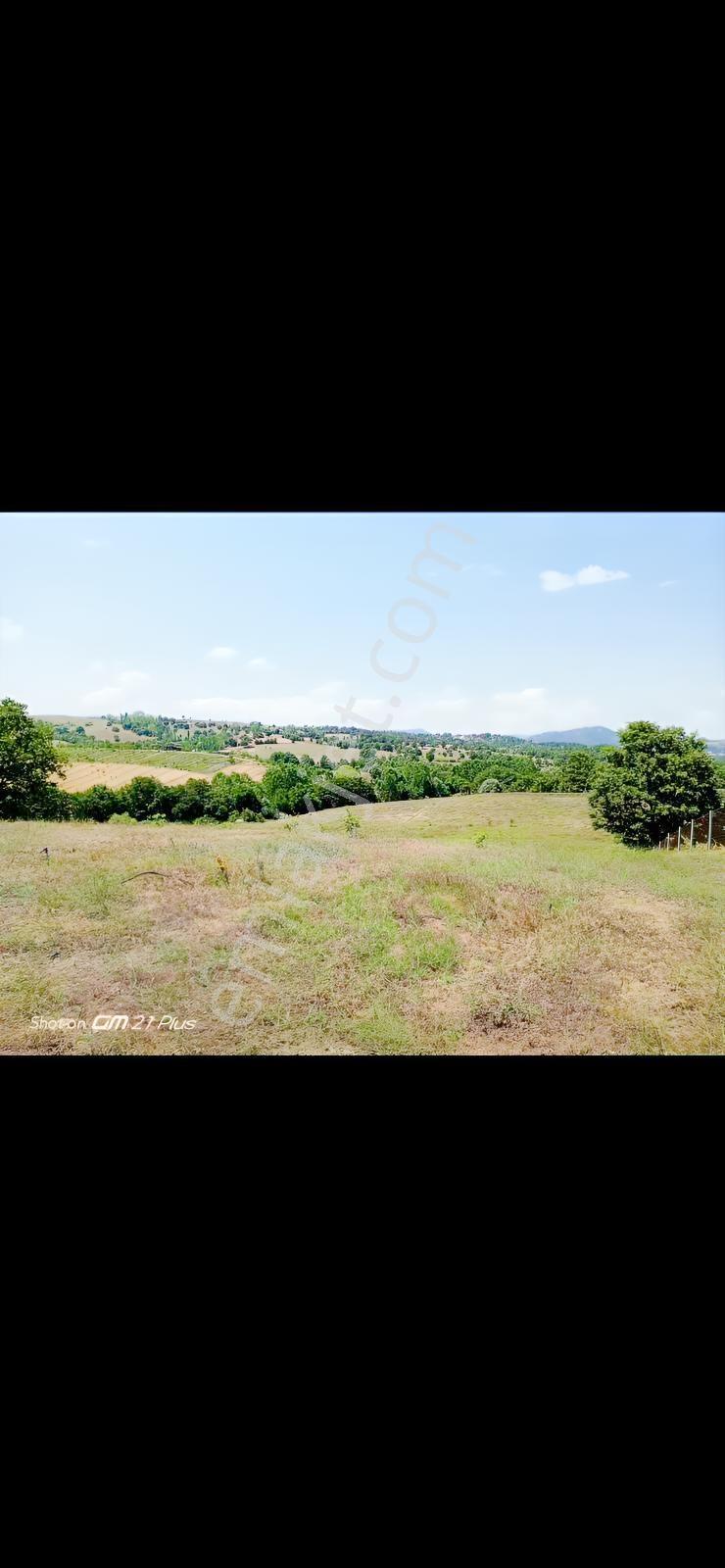 Re/max Advantage 'dan Tarıma Elverişli Arazi — fotoğraf 8