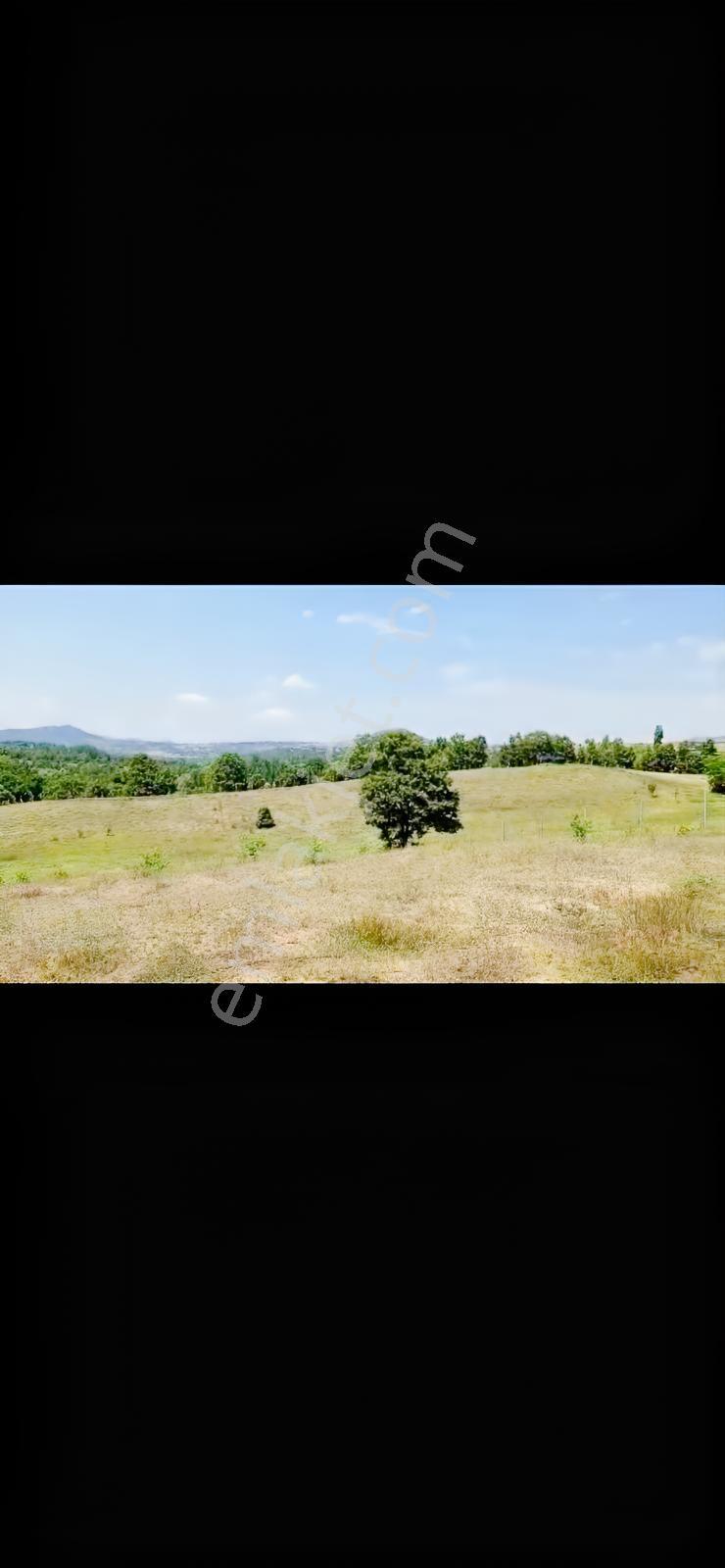 Re/max Advantage 'dan Tarıma Elverişli Arazi — fotoğraf 9