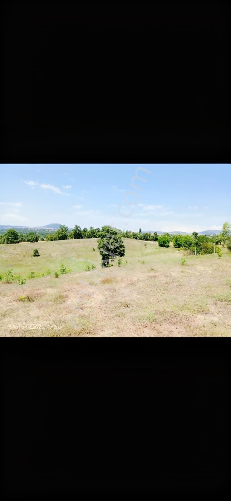 Re/max Advantage 'dan Tarıma Elverişli Arazi — fotoğraf 12