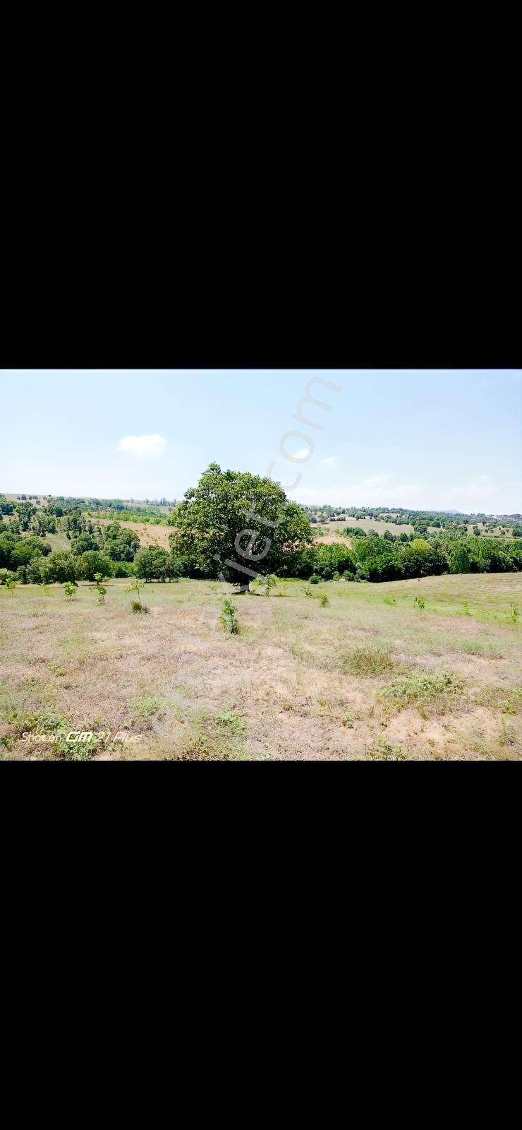 Re/max Advantage 'dan Tarıma Elverişli Arazi — fotoğraf 13
