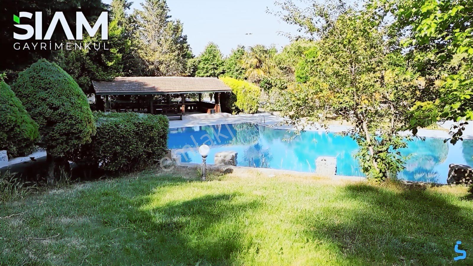 İstanbul Silivri Yolçatı 9,5 Dönüm Havuzlu Satılık 2 Kütük Villa — fotoğraf 14