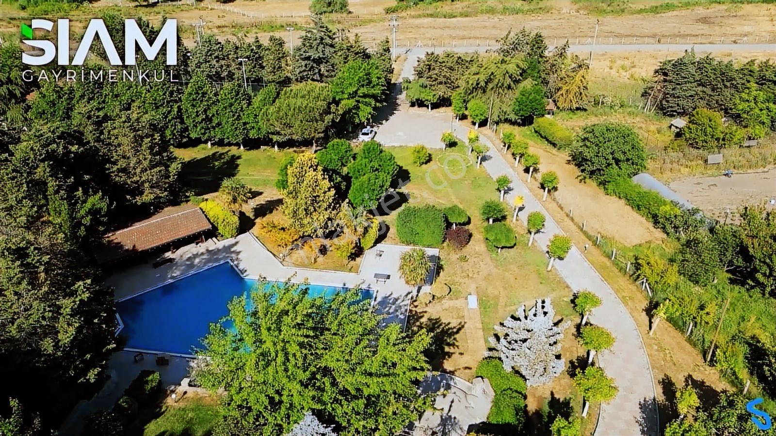 İstanbul Silivri Yolçatı 9,5 Dönüm Havuzlu Satılık 2 Kütük Villa — fotoğraf 16