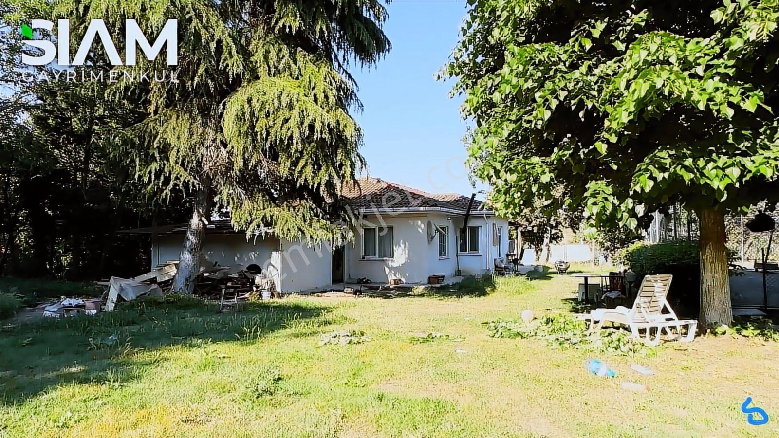 İstanbul Silivri Yolçatı 9,5 Dönüm Havuzlu Satılık 2 Kütük Villa — fotoğraf 19