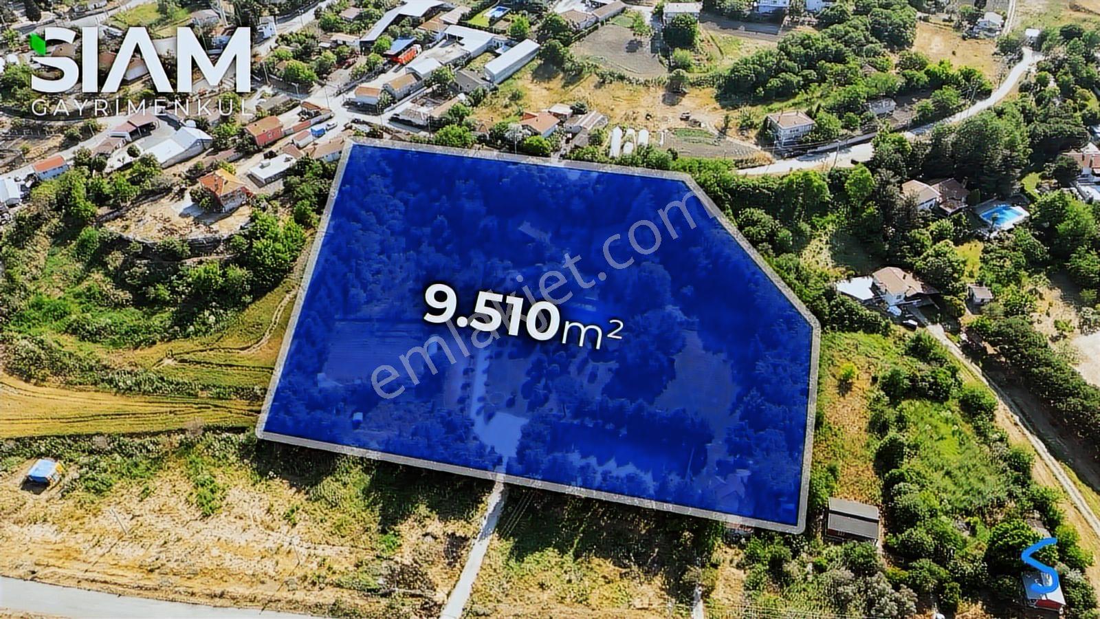 İstanbul Silivri Yolçatı 9,5 Dönüm Havuzlu Satılık 2 Kütük Villa — fotoğraf 25