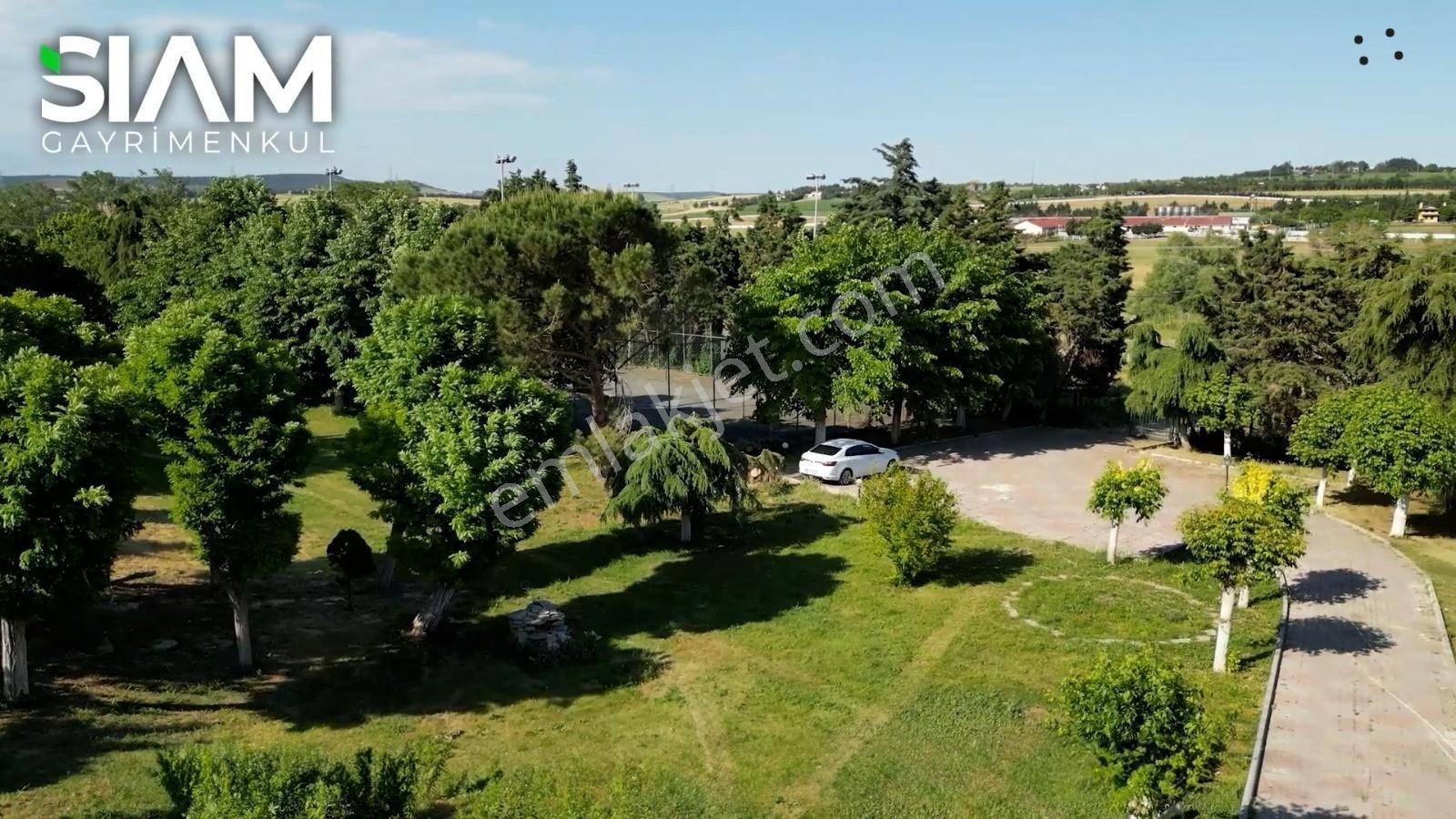 İstanbul Silivri Yolçatı 9,5 Dönüm Havuzlu Satılık 2 Kütük Villa — fotoğraf 29
