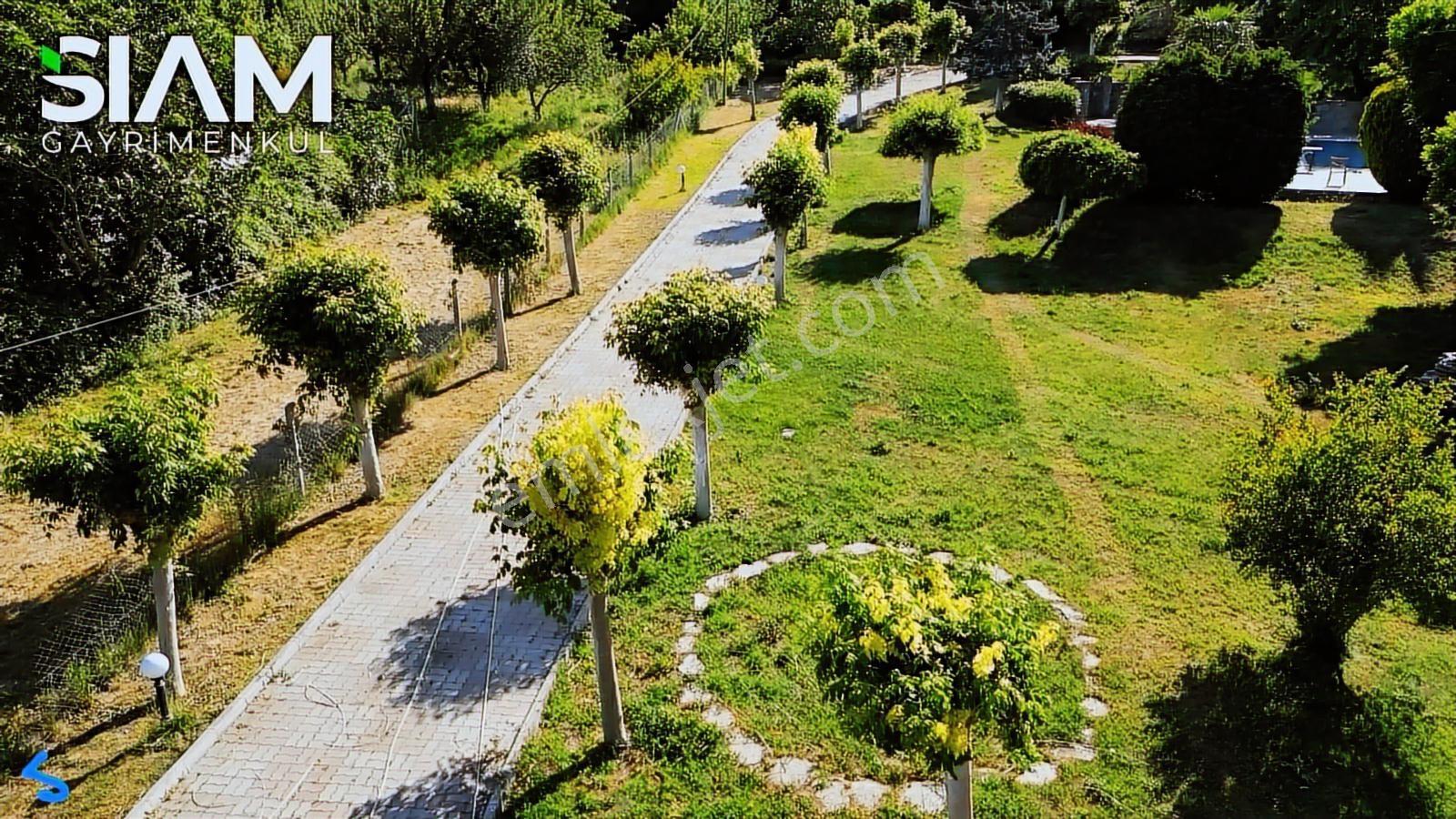 İstanbul Silivri Yolçatı 9,5 Dönüm Havuzlu Satılık 2 Kütük Villa — fotoğraf 31