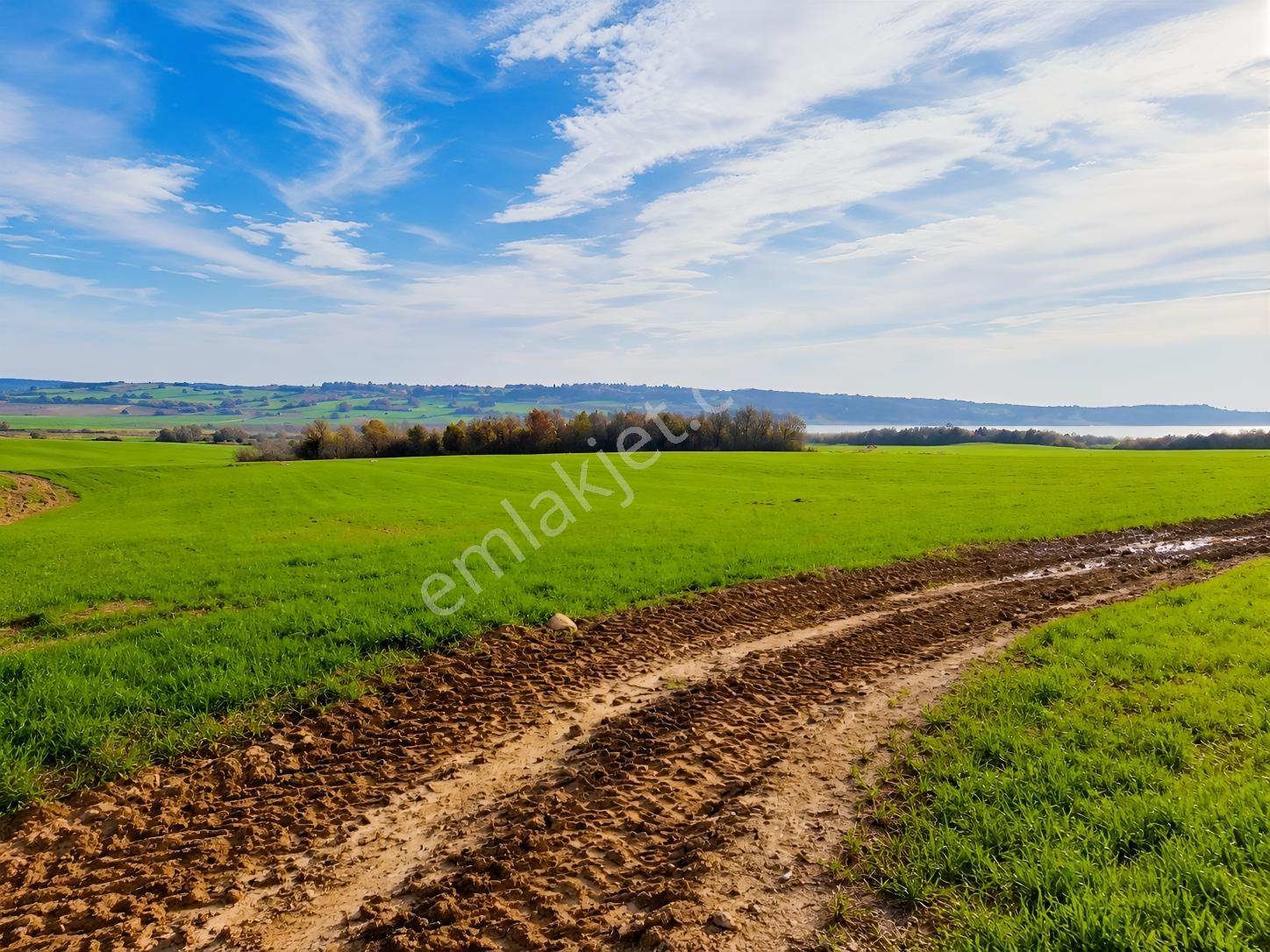 Edirne Keşan Erikli, Tuzla Gölü Manzaralı - Tek Tapu 10.500m² — fotoğraf 3