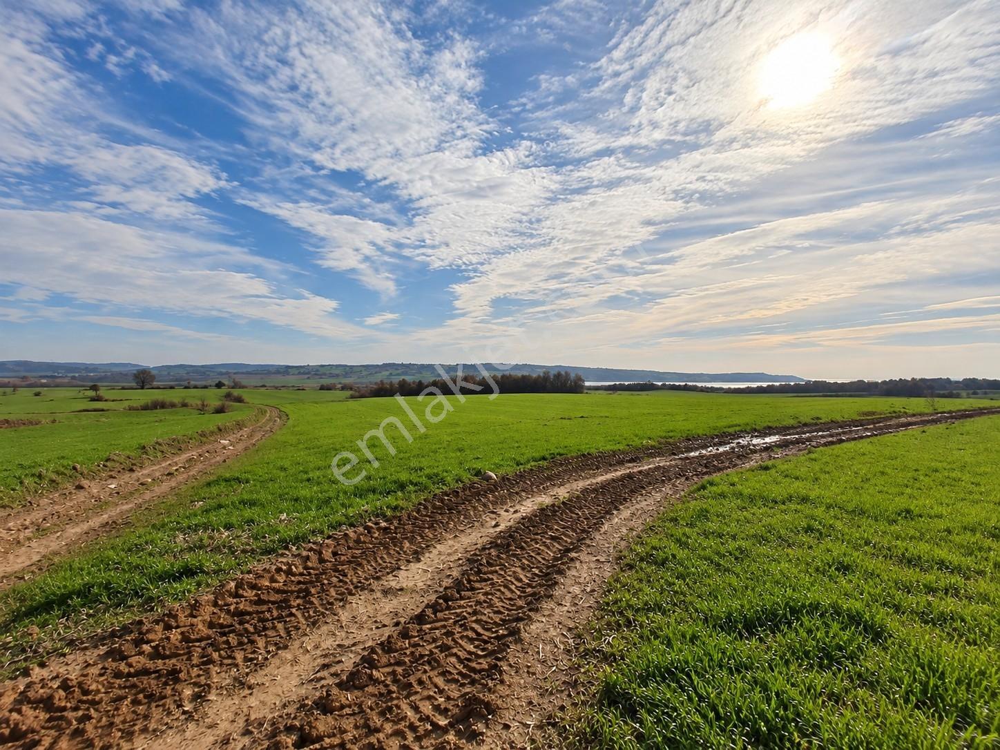 Edirne Keşan Erikli, Tuzla Gölü Manzaralı - Tek Tapu 10.500m² — fotoğraf 4