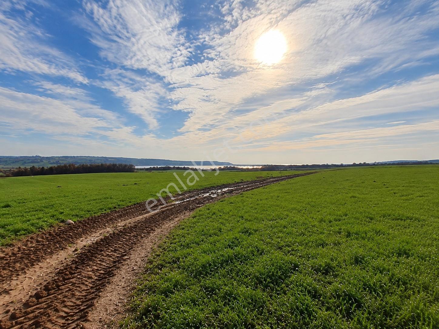 Edirne Keşan Erikli, Tuzla Gölü Manzaralı - Tek Tapu 10.500m² — fotoğraf 5