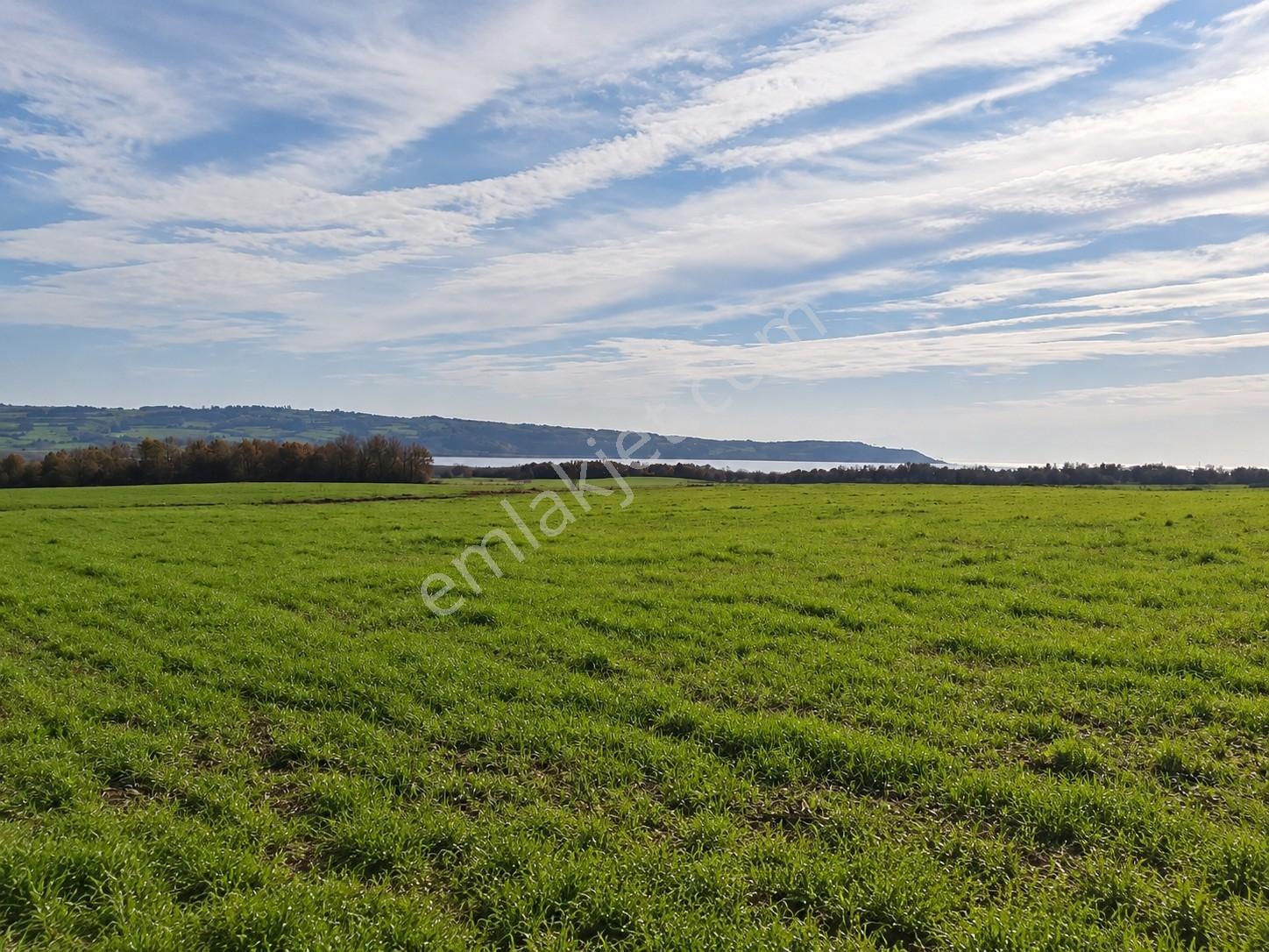 Edirne Keşan Erikli, Tuzla Gölü Manzaralı - Tek Tapu 10.500m² — fotoğraf 6