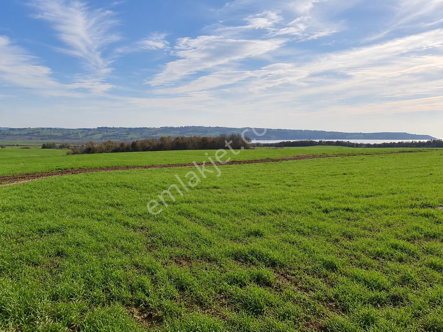 Edirne Keşan Erikli, Tuzla Gölü Manzaralı - Tek Tapu 10.500m² — fotoğraf 7