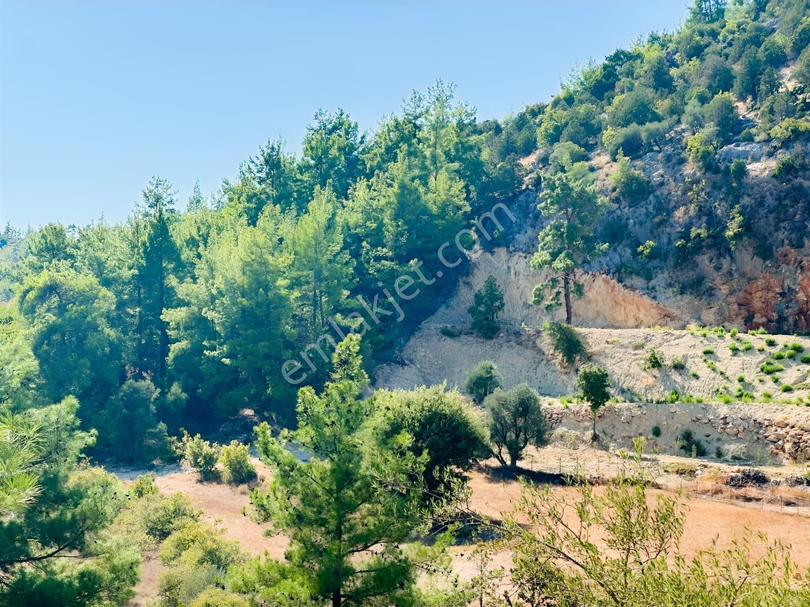 Antalya Manavgat Ahmetler Mahallesi Satılık Tek Tapu Tarla