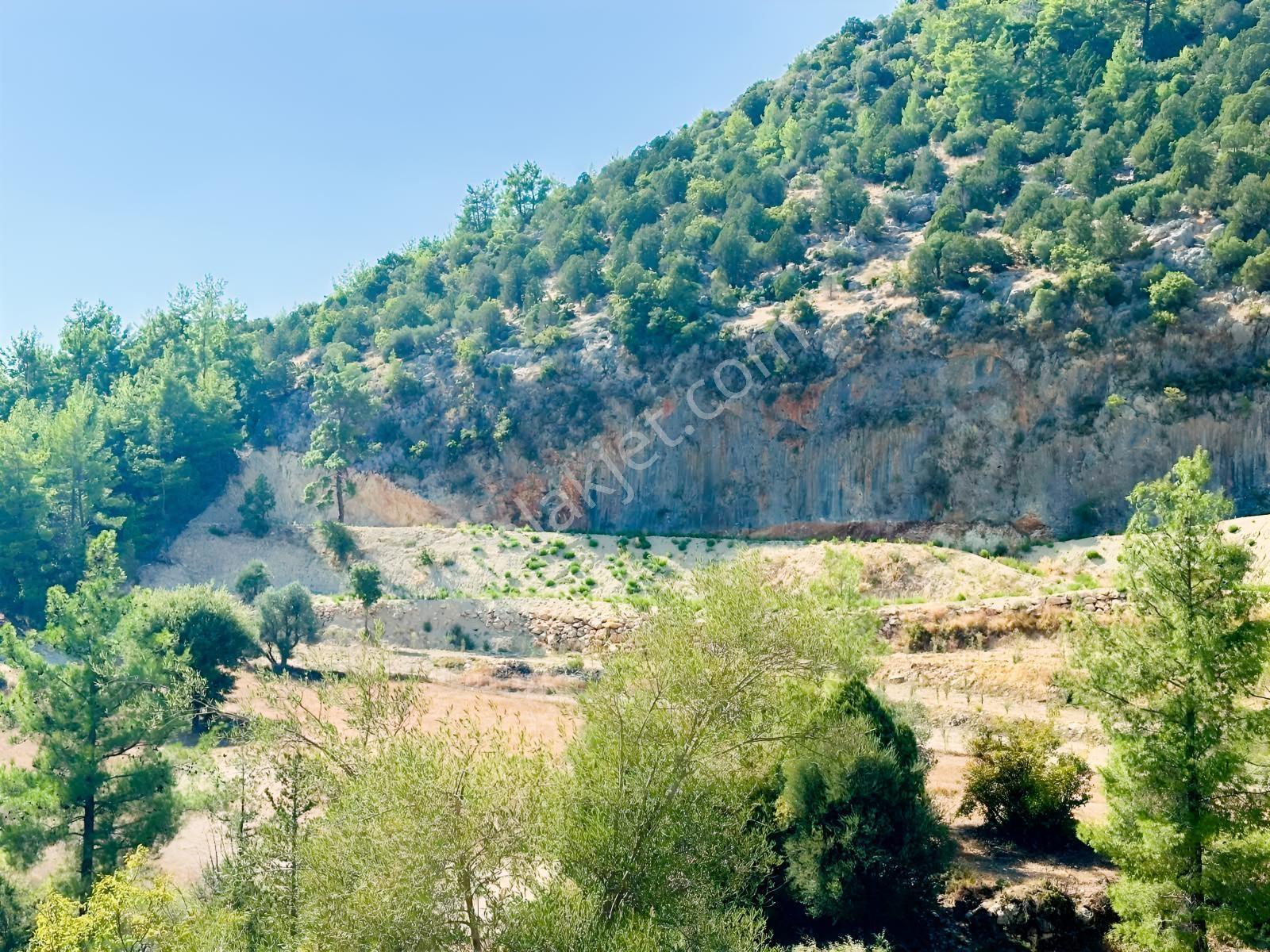 Antalya Manavgat Ahmetler Mahallesi Satılık Tek Tapu Tarla — fotoğraf 3