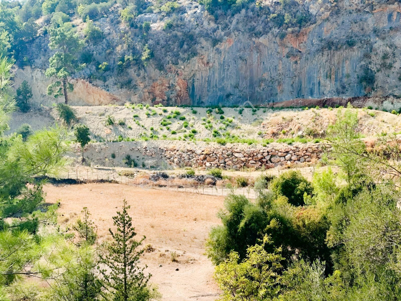 Antalya Manavgat Ahmetler Mahallesi Satılık Tek Tapu Tarla — fotoğraf 4