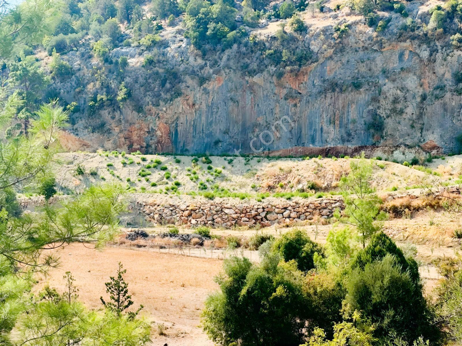 Antalya Manavgat Ahmetler Mahallesi Satılık Tek Tapu Tarla — fotoğraf 6