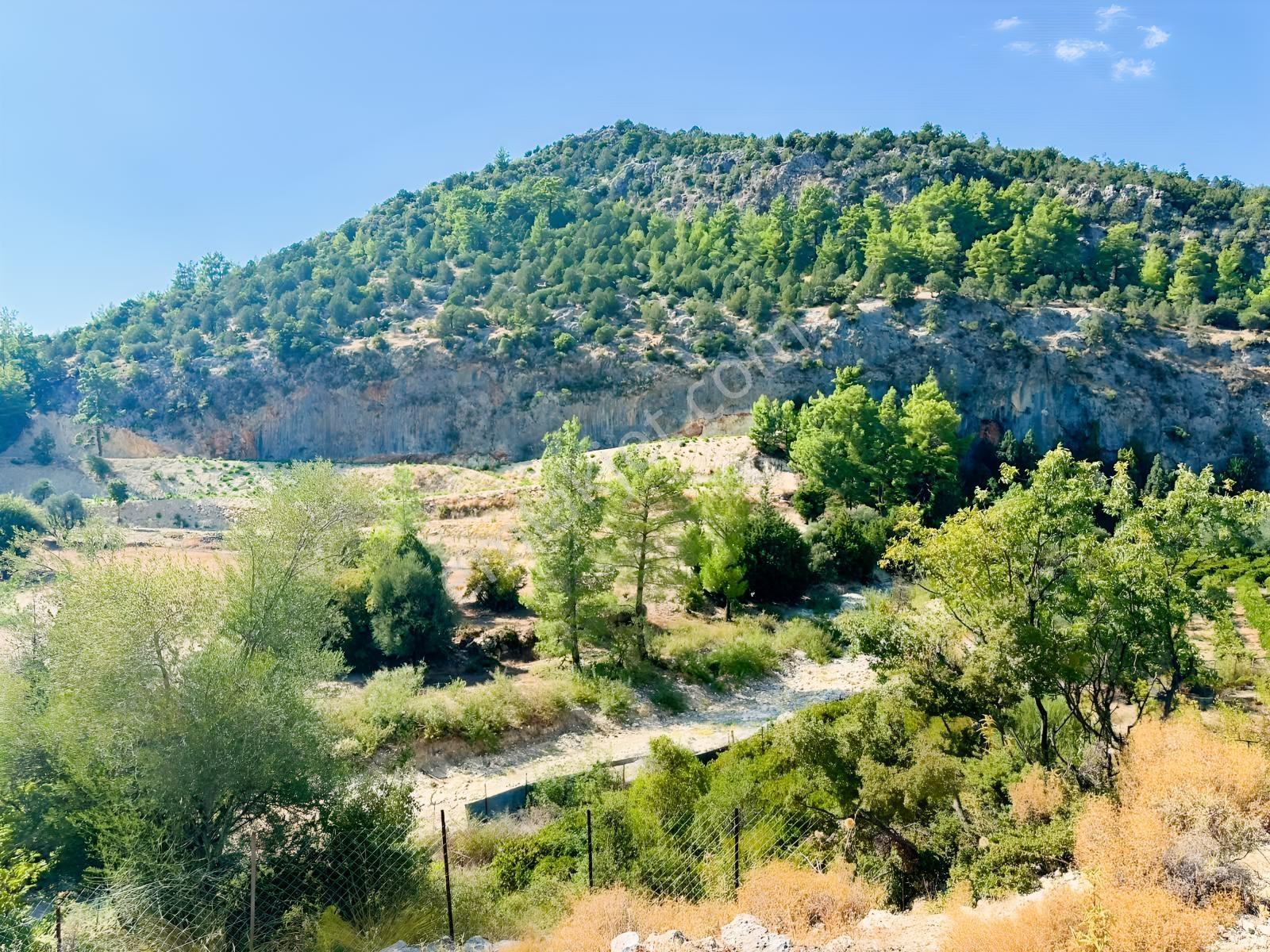 Antalya Manavgat Ahmetler Mahallesi Satılık Tek Tapu Tarla — fotoğraf 7