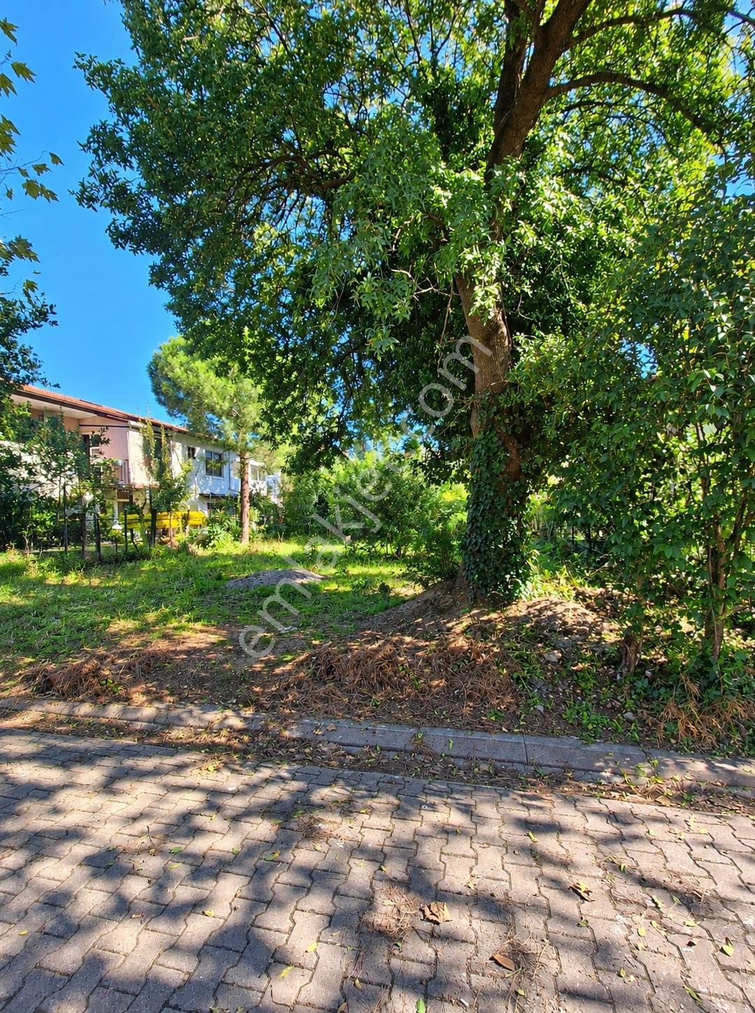 Ada'nın En Değerli Sokağında 360,85m² Satılık Arsa — fotoğraf 2