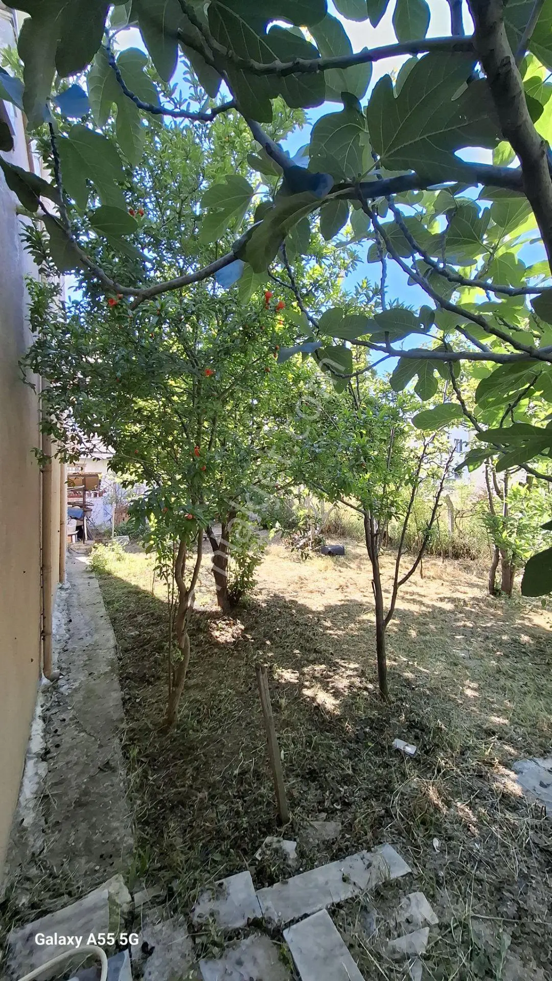 Denize Yürüme Mesafesinde Villa İskanlı — fotoğraf 9