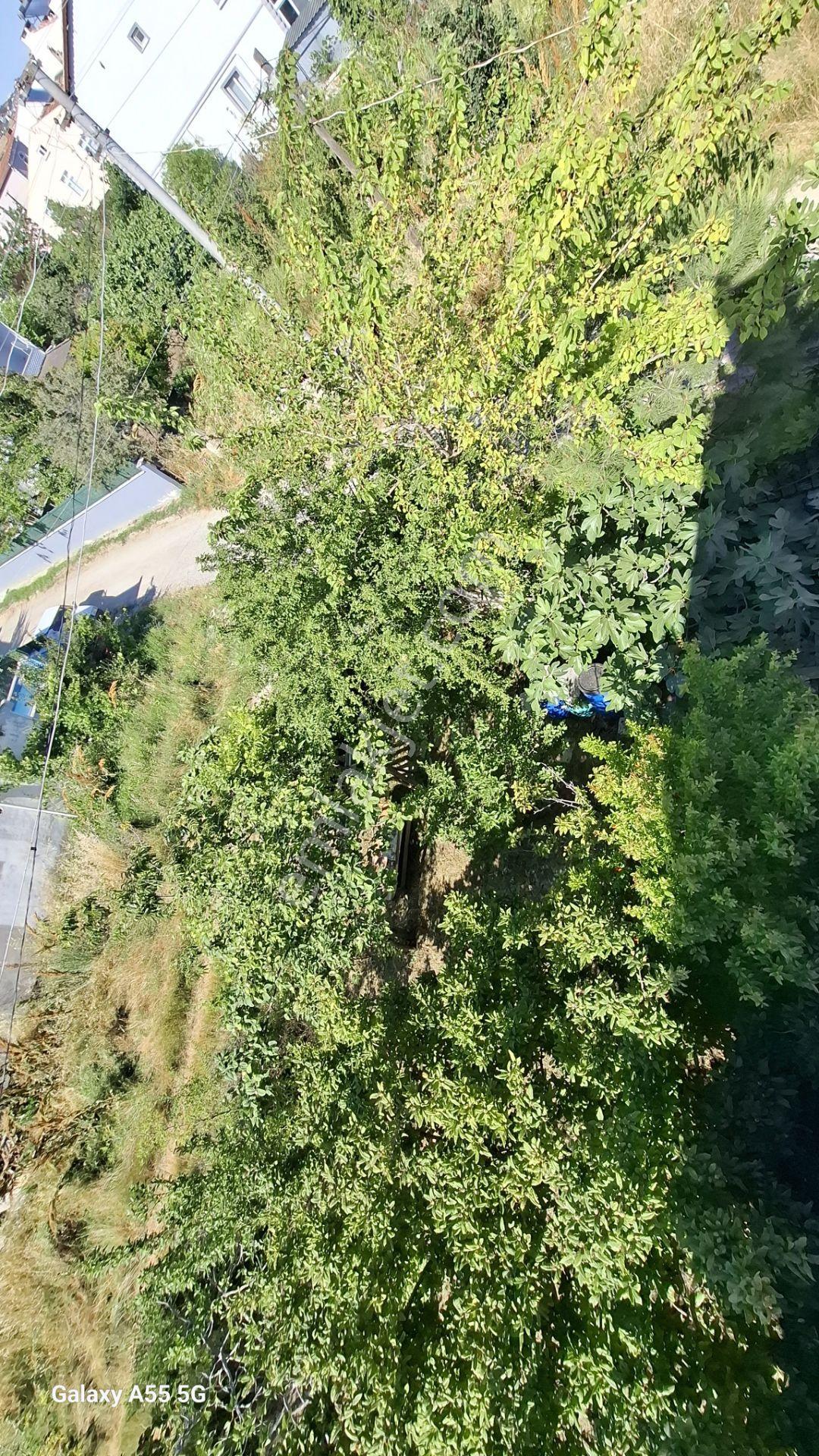 Denize Yürüme Mesafesinde Villa İskanlı — fotoğraf 34