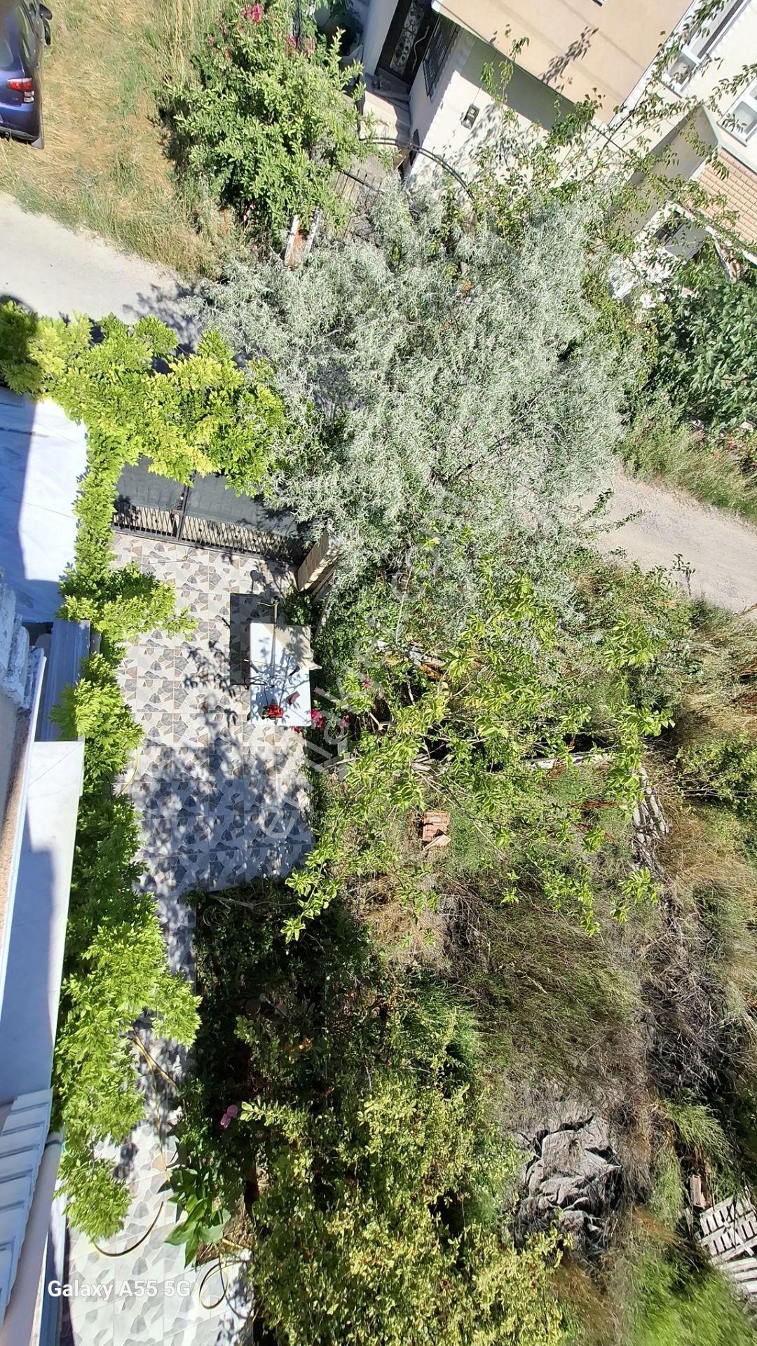 Denize Yürüme Mesafesinde Villa İskanlı — fotoğraf 35