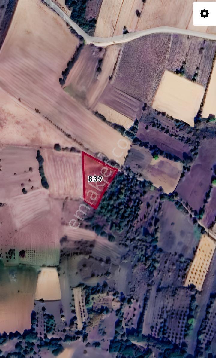 Selçuklu'dan Harmanlı'da Yerleşime Yakın Yola Cephe Fırsat Tarla — fotoğraf 2