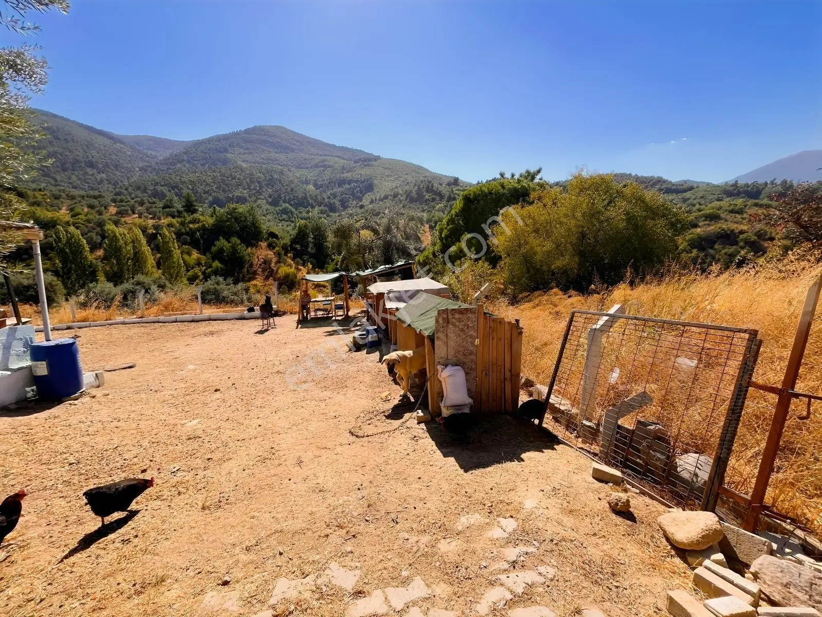 Kemalpaşa Yukarıkızılca Satılık 446 M2 Bahçe — fotoğraf 4