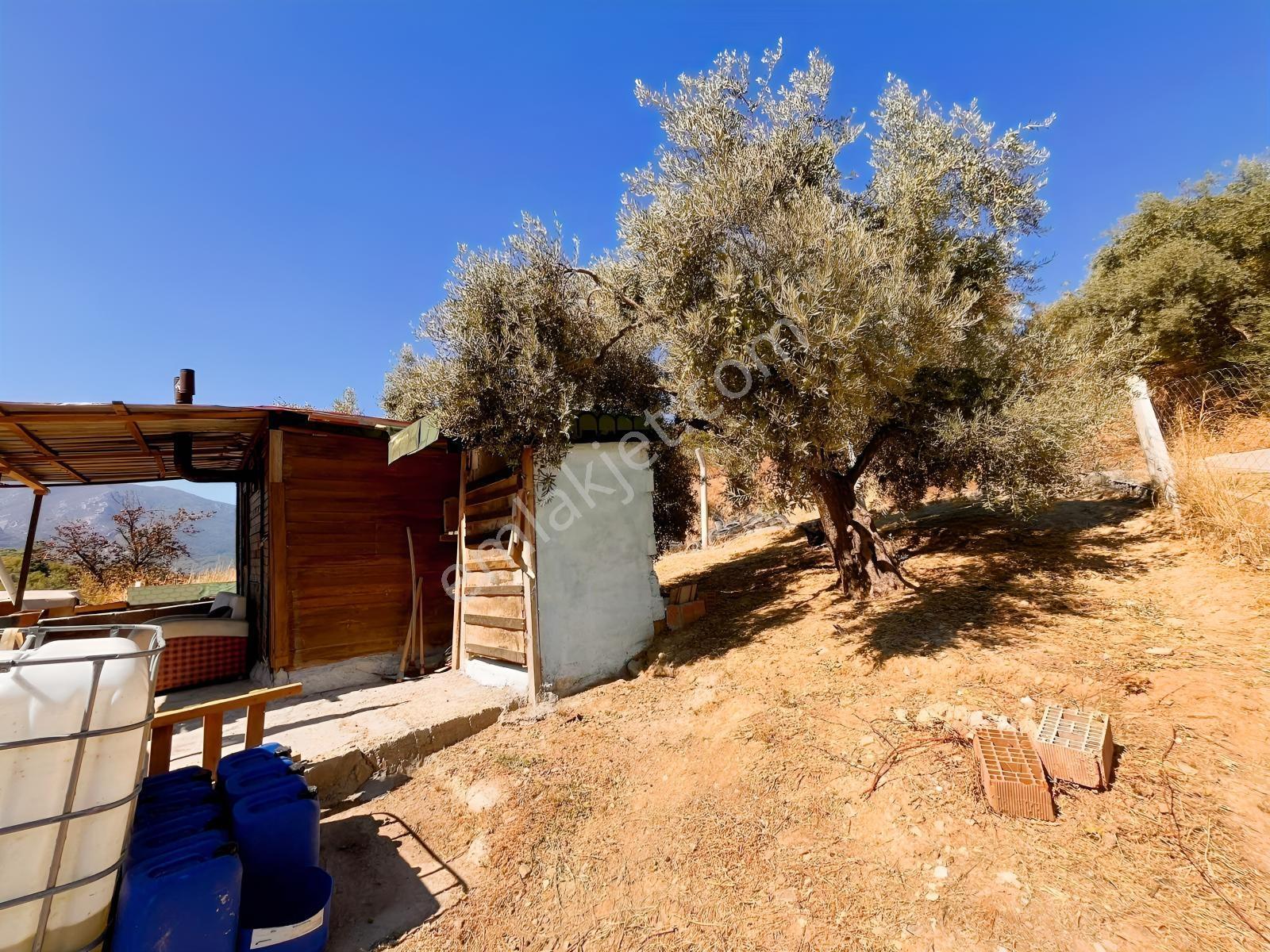 Kemalpaşa Yukarıkızılca Satılık 446 M2 Bahçe — fotoğraf 5