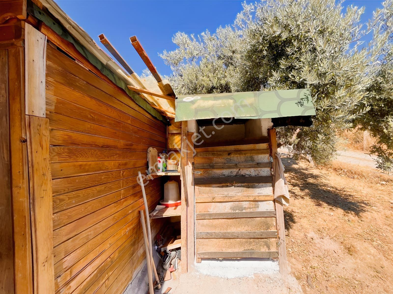 Kemalpaşa Yukarıkızılca Satılık 446 M2 Bahçe — fotoğraf 6